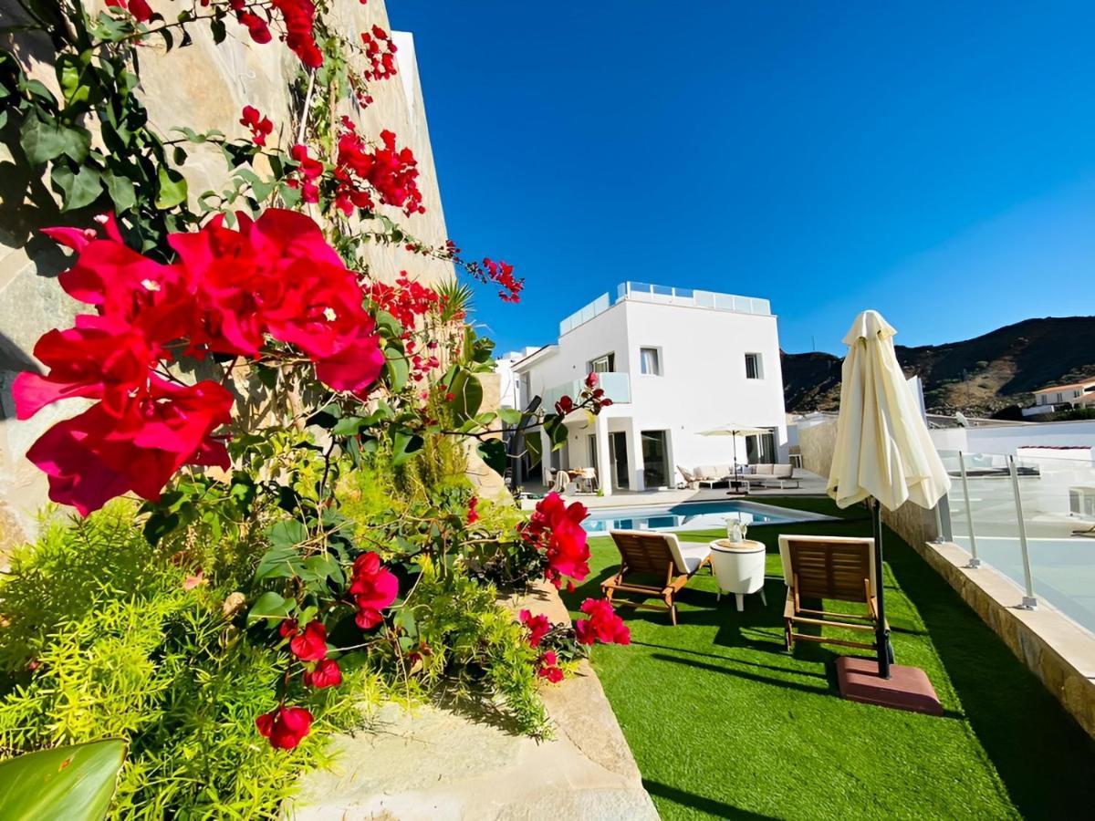 Dream Villa With Heated Pool, Rooftop & Ocean Views Mogán 外观 照片